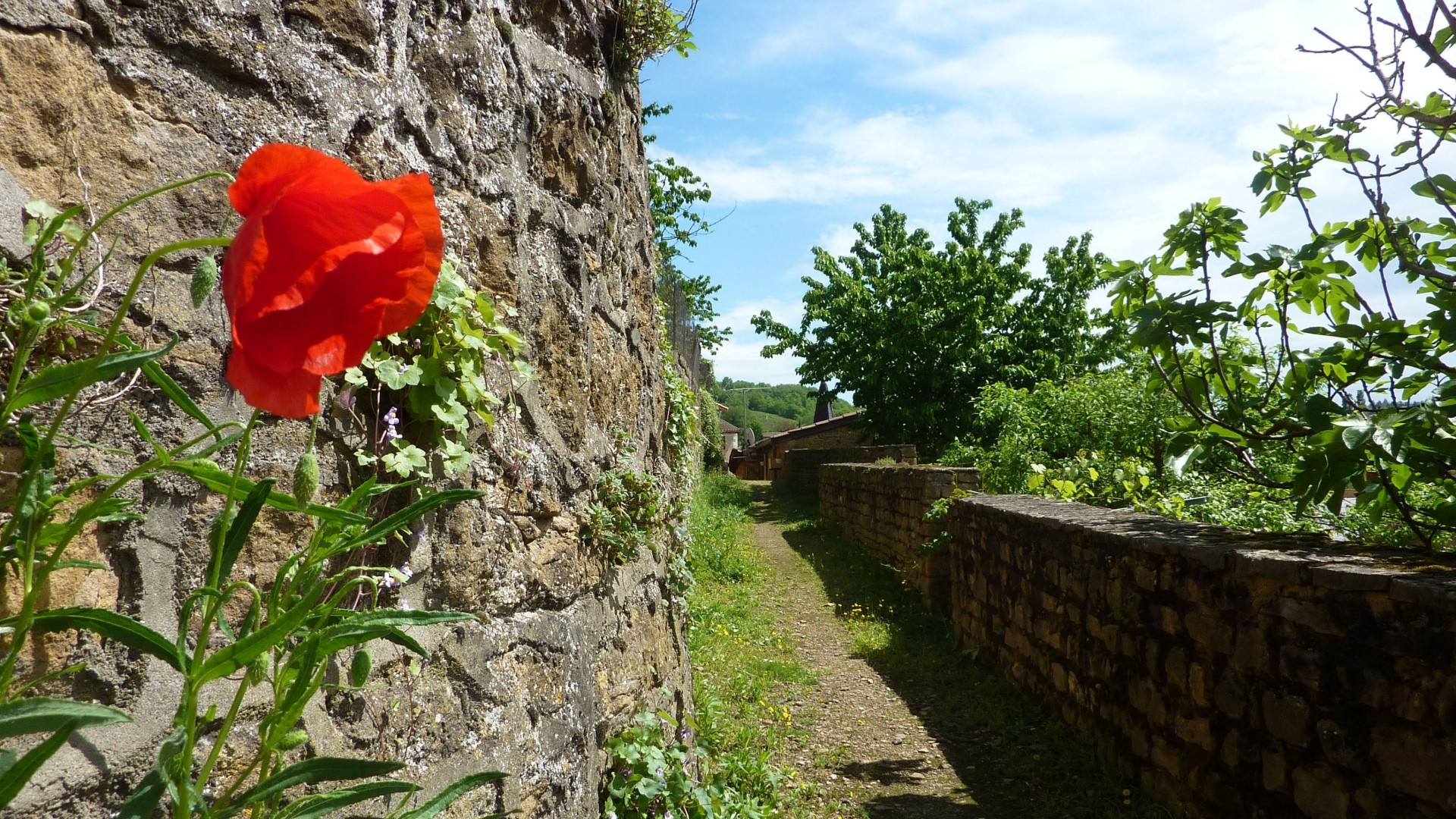 Sentier des remparts dans le village